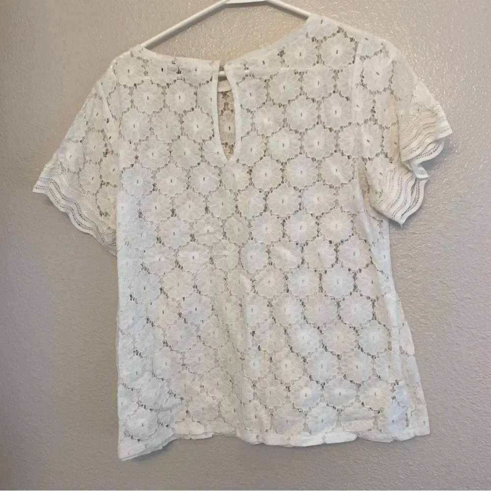 LOFT white lace crochet semi sheer crewneck blouse 
top cotton nylon beachy M - Picture 2 of 9